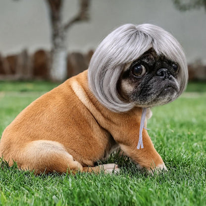 🐶 Funny Pet Wig Headband for Dogs & Cats – Cute Costume Accessory for Photos, Parties & Holidays - Brown