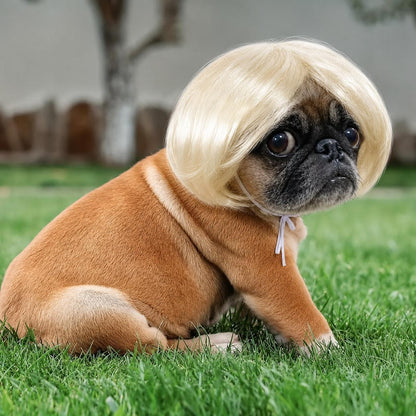 🐶 Funny Pet Wig Headband for Dogs & Cats – Cute Costume Accessory for Photos, Parties & Holidays - Brown