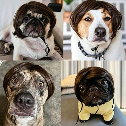 🐶 Funny Pet Wig Headband for Dogs & Cats – Cute Costume Accessory for Photos, Parties & Holidays - Brown