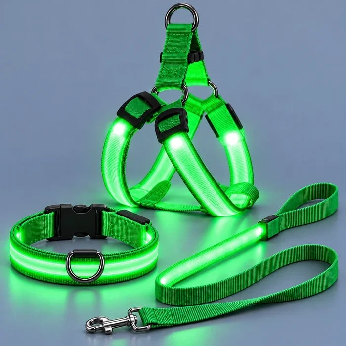 🐕 Rechargeable LED Dog Walking Kit ✨ Light-Up Harness, Collar & Leash for Safer Night Walks